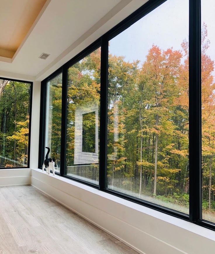 Ventana Fija